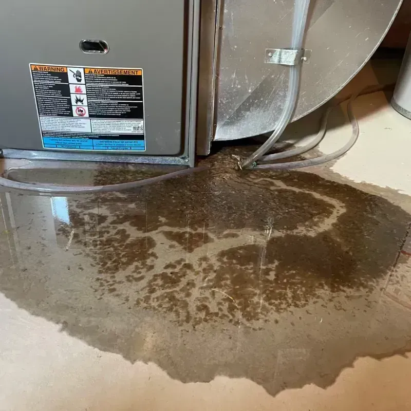 Appliance Leak Cleanup in Grayville, IL